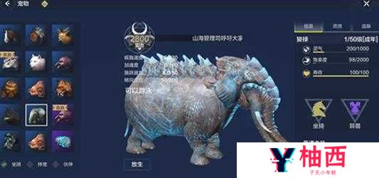 妄想山海新手必看!飞行坐骑选错血亏!这3个闭眼入手