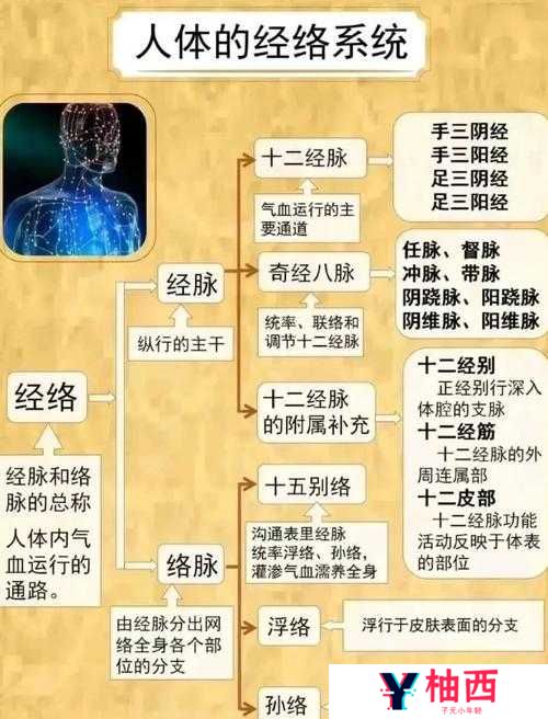 战国英雄经脉系统如何玩转？全面攻略带你揭秘悬念！