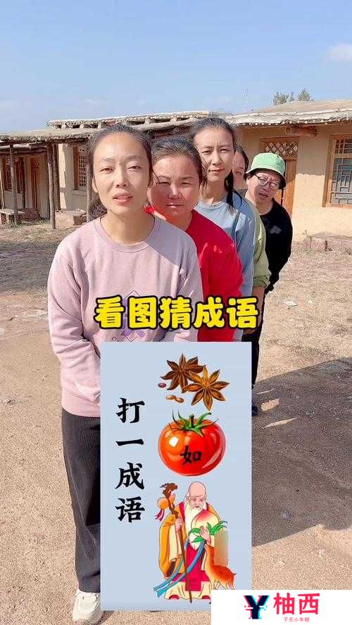 疯狂猜成语遇难题，狗与柿子组合，究竟暗藏哪个成语？深度攻略揭秘！