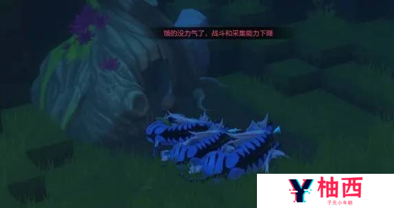 《我的起源》1598宠物蛋的位置一览