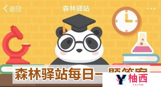 森林驿站9月11日每日一题答案
