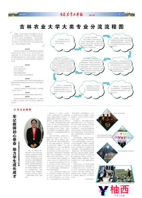 全民农场里，报纸阅读究竟藏着哪些秘密？报亭交易又暗含何种玄机？