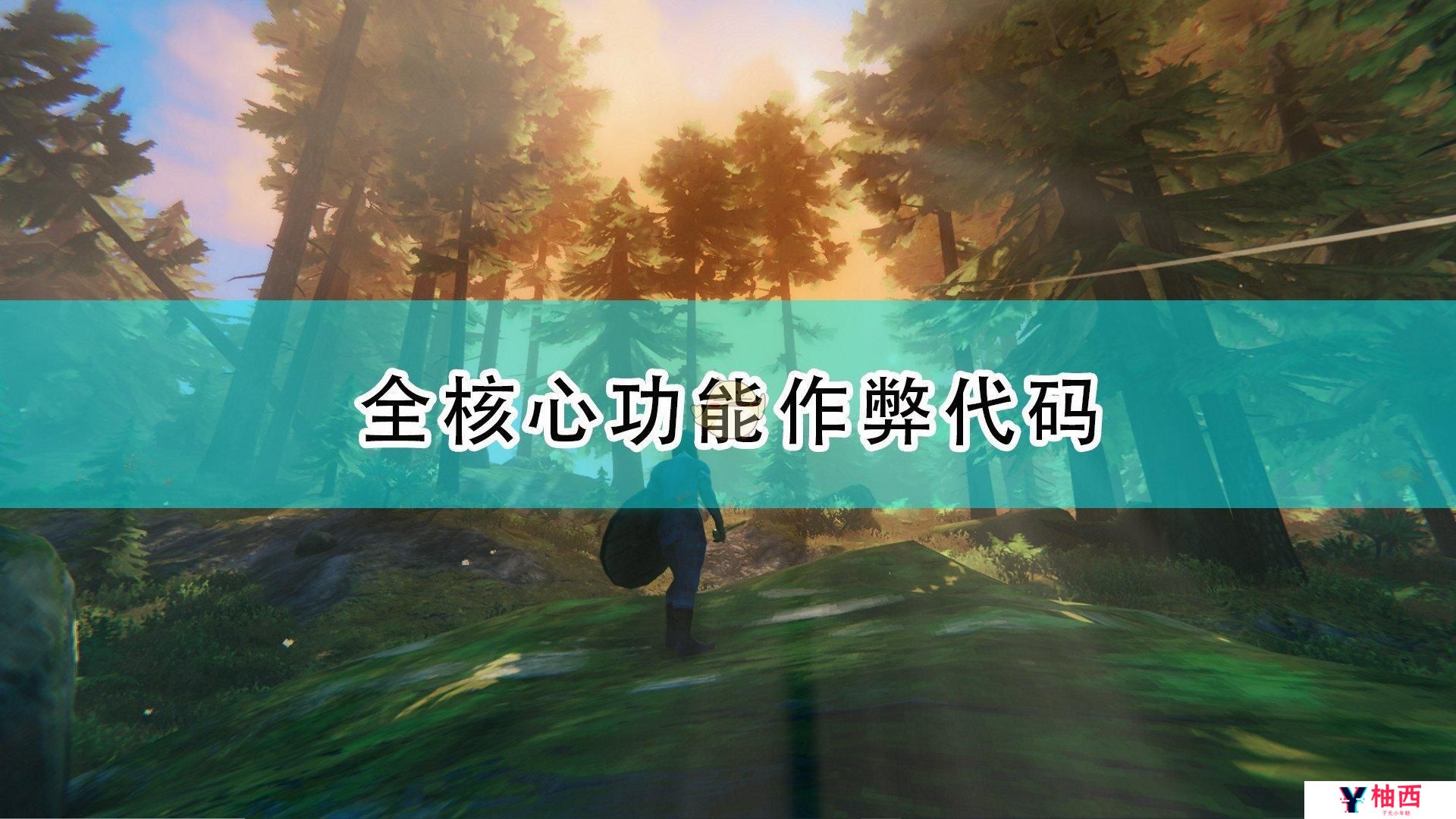 Valheim英灵神殿作弊指令大全：控制台代码与服务器管理完全指南