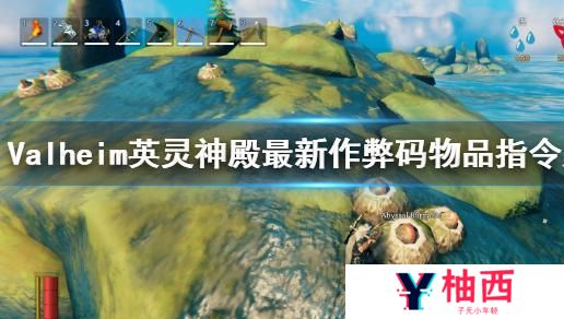 Valheim控制台指令及物品代码全解析宣传图1