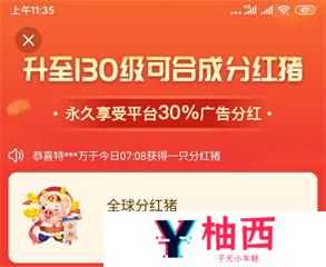 详细阅读:《阳光养猪场》怎么获得分红猪 快速获得分红猪攻略 《阳光养猪场》怎么获得分红猪 快速获得分红猪攻略